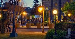 Foto: (Samuel Azambuja Kochhan/iStock)