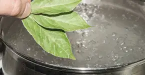 Foto: (Depositphotos/cs.zlo.bk.ru)