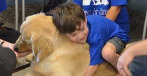 Cães ajudam na inclusão de crianças com autismo