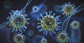 Foto: (matejmo/istock)