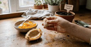 Foto: (Imagem sem texto alternativo disponivel ID [2758175])