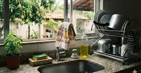 Foto: (Imagem gerada por IA/Gemini)