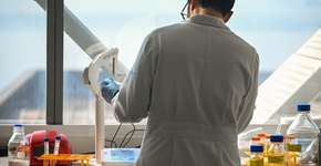 Foto: (Divulgação/IEL)