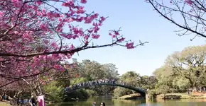 Mapa permite que usuário indique os lugares que mais gosta em SP