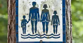 Foto: (gbrundin/iStock)