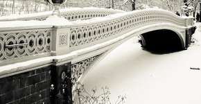 Foto: (Imagem sem texto alternativo disponivel ID [1394222])