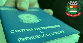 Foto: (Imagem sem texto alternativo disponivel ID [1860110])