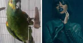 Foto: (Imagem sem texto alternativo disponivel ID [1342032])