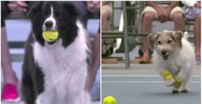 Foto: (Imagem sem texto alternativo disponivel ID [969518])