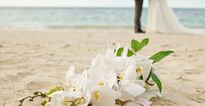6 plataformas que ajudam a economizar em casamentos
