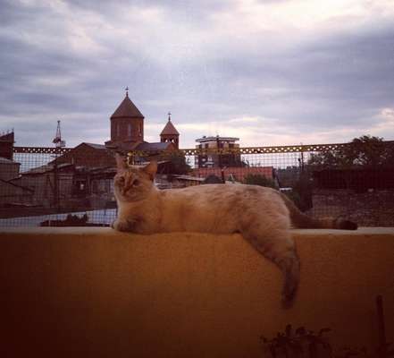 Reprodução / Instagram