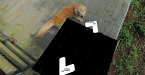 Foto: (Imagem sem texto alternativo disponivel ID [1451773])