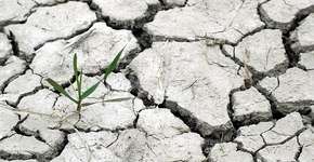 Eu, você e todos nós