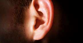 Foto: (Evgeniy Anikeev/istock)