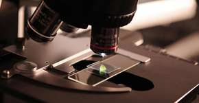 Cientistas anunciam avanço que pode eliminar HIV de vez