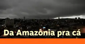 Partículas de queimadas são encontradas em água de chuva em SP