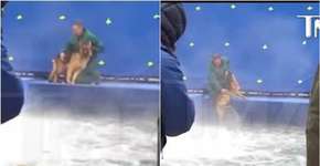 Segundo investigação, vídeo de maus tratos em filme era montagem