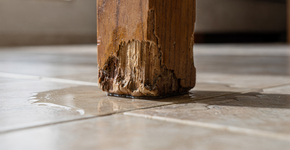 Foto: (Imagem sem texto alternativo disponivel ID [2733164])