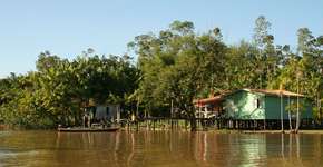 Foto: (Imagem sem texto alternativo disponivel ID [684556])