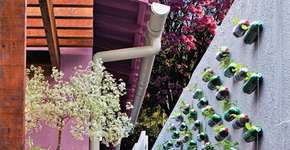 Como fazer um jardim vertical sem gastar muito
