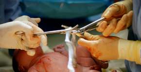 Foto: (iStock/ChenRobert)