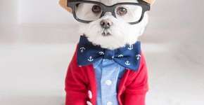 Foto: (Imagem sem texto alternativo disponivel ID [1869814])