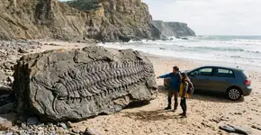 Um deslizamento de terra em uma praia inglesa revelou algo impossível: um milípede do tamanho de um carro que viveu antes dos dinossauros