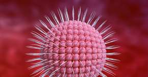 Ação conjunta de dois vírus comuns pode ser gatilho para Alzheimer