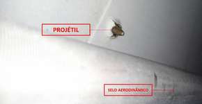 Foto: (Imagem sem texto alternativo disponivel ID [1194235])