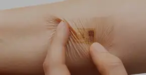 Foto: (Imagem sem texto alternativo disponivel ID [1833417])