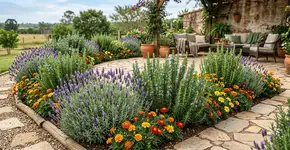 Foto: (Imagem sem texto alternativo disponivel ID [2769702])