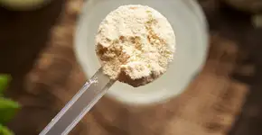 Foto: (Madeleine_Steinbach/istock)