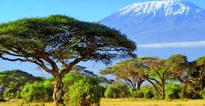 10 lugares para conhecer antes que desapareçam