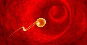 Foto: (grechka333/DepositPhotos)