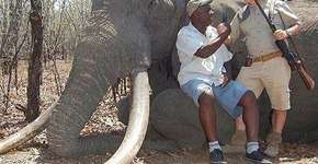 Foto: (Imagem sem texto alternativo disponivel ID [972525])