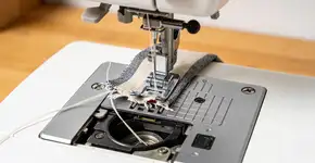 Foto: (Imagem sem texto alternativo disponivel ID [2725258])