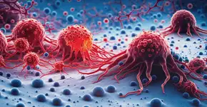 Foto: (iStock/koto_feja)