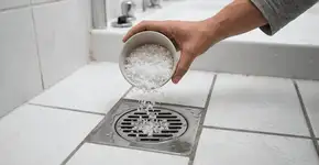 Foto: (Imagem sem texto alternativo disponivel ID [2770454])