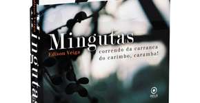 Lançamento: romance Mingutas, de Edison Veiga