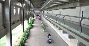 Foto: (Divulgação)