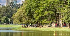 Foto: (Getty Images/iStockphoto)