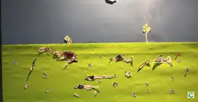 Crianças de 4 anos criam filme para alertar sobre riscos ambientais