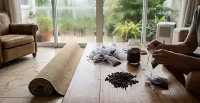 Cravo embaixo do tapete: o segredo simples para uma casa sem cheiro de mofo