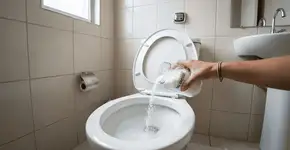 Foto: (Imagem sem texto alternativo disponivel ID [2759175])