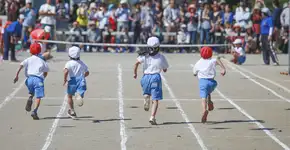 Olimpíada 2016: 11 oficinas para trabalhar o esporte na educação
