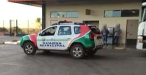 Cachorro morre trancado em porta-malas enquanto dono fazia compras