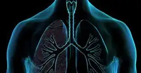 Aprenda a identificar e a tratar da tuberculose