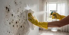 Foto: (Imagem sem texto alternativo disponivel ID [2736215])