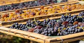 Foto: (Imagem sem texto alternativo disponivel ID [2714793])