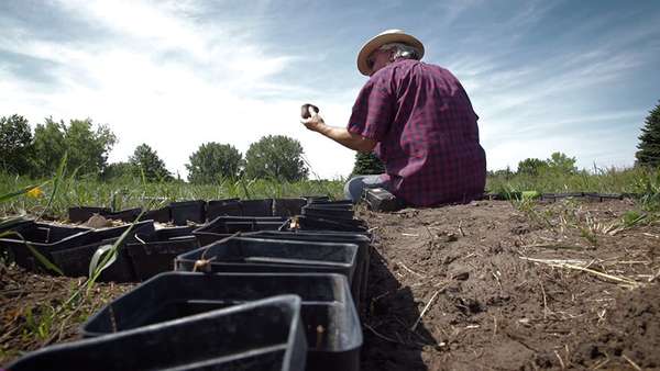 O artista usou plantas e outros materiais reciclados para fazer a releitura do quadro (Reprodução/Minneapolis Institute of Art)